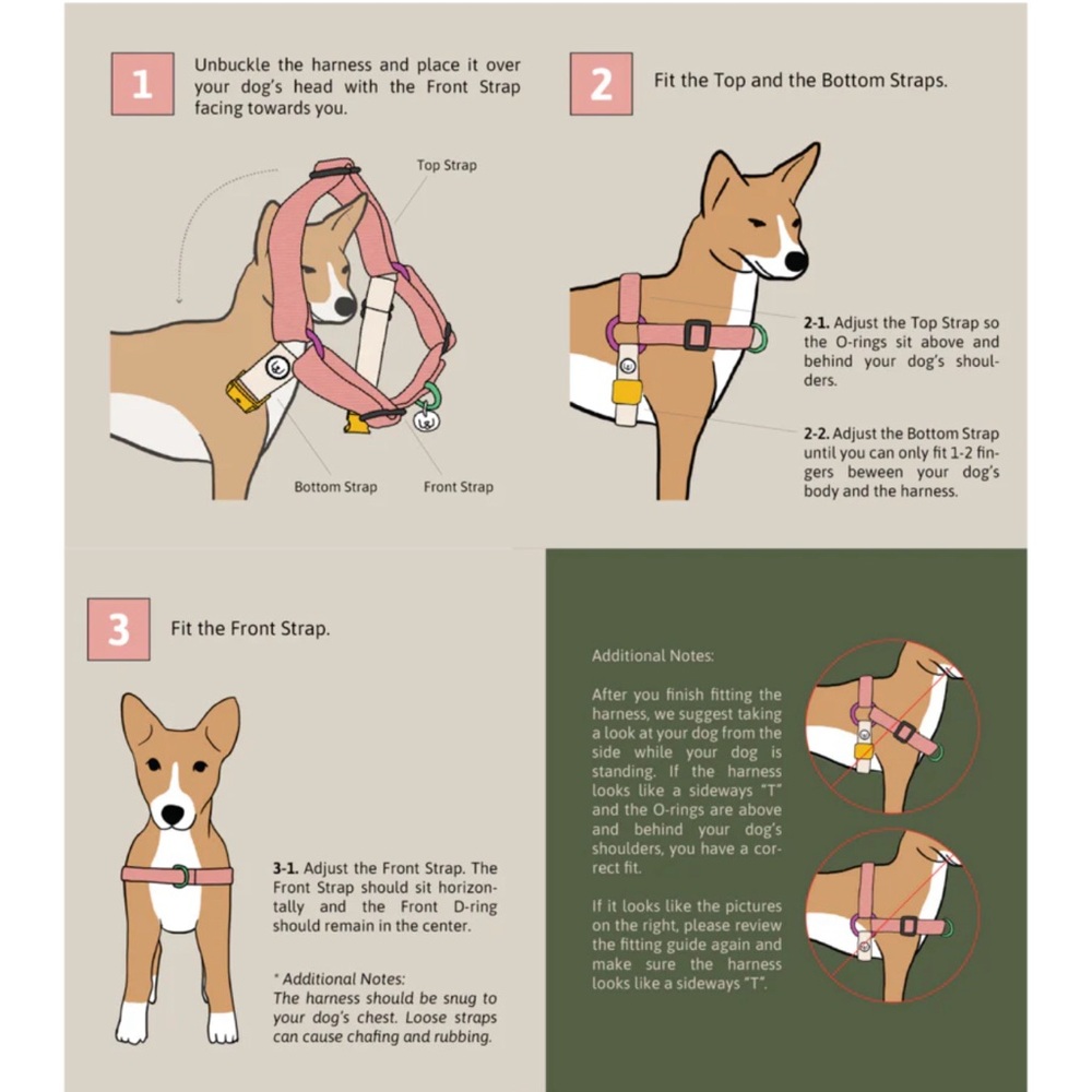Eat Play Wag No-Pull Harness & 1” Convertible Leash Set - Spruce Medium - Picture 3 of 9